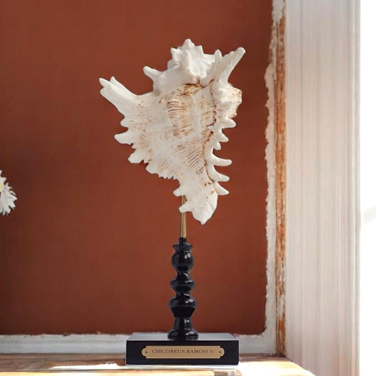 Mounted Shell Sculpture, Sea Shell on Stand, Tropical Shell Display, Elegant Coastal Decor, Beach House Gift, Nautical Marine Home Accent