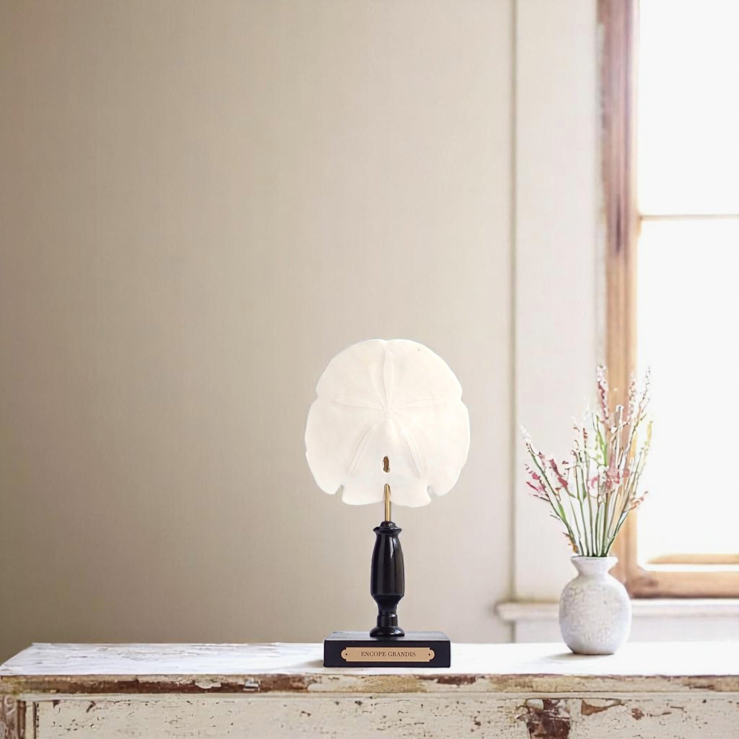 Mounted Shell Sculpture, Sand Dollar on Stand, Tropical Shell Display, Elegant Coastal Decor, Beach House Gift, Nautical Marine Home Accent