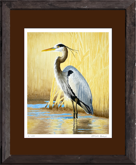 Great Blue Heron Watercolor Print, Nature Wildlife Landscape, Limited Edition Print, Coastal Wall Decor, Beach Painting Gift, Shorebird Art