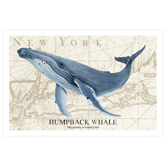 Humpback Whale Watercolor Print: Vintage Long Island Nautical Chart Art