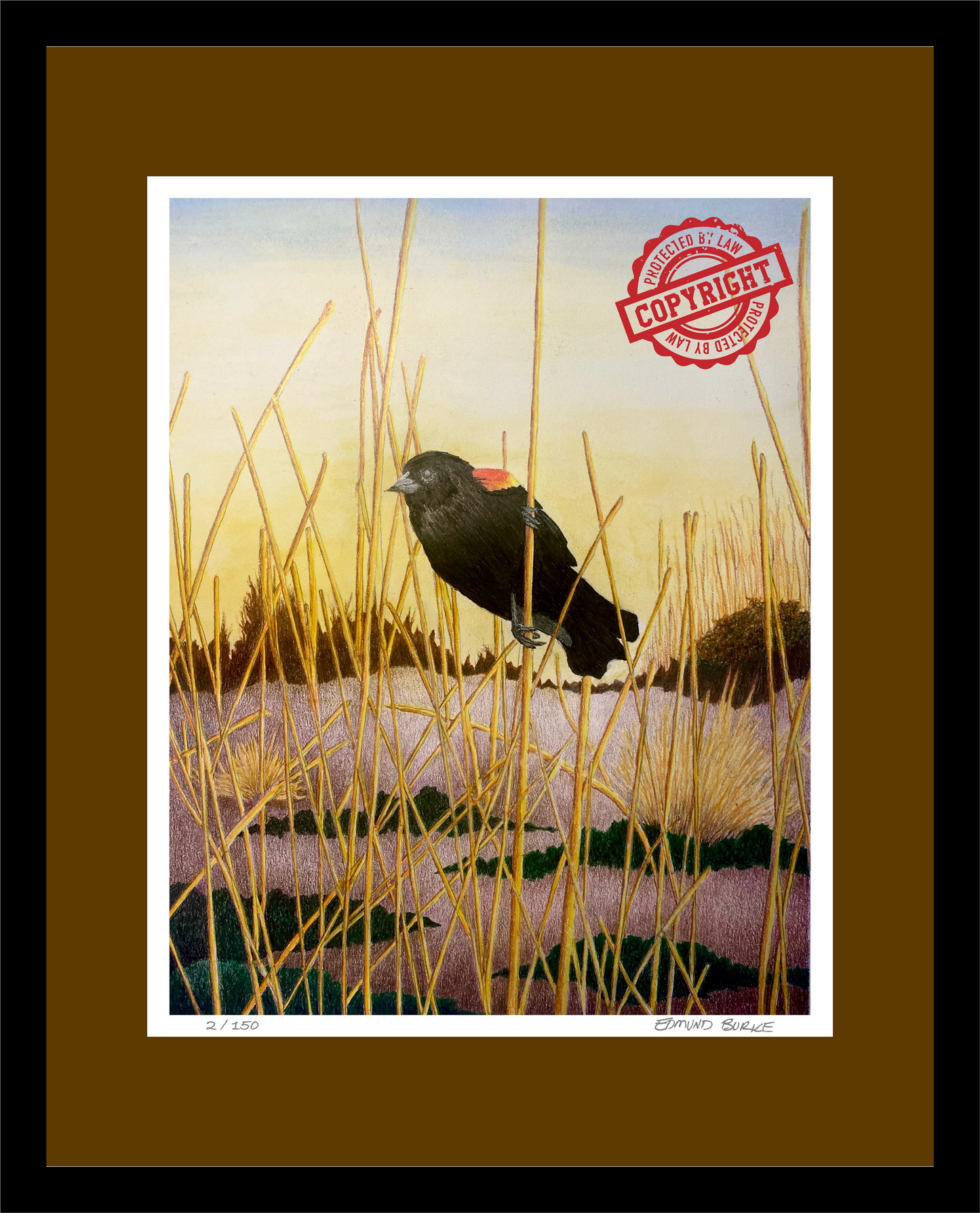 Red Winged Black Bird Original Artwork, East Coast Landscape Print, Limited Edition Watercolor,Coastal Wall Decor, Beach House Decor Gift