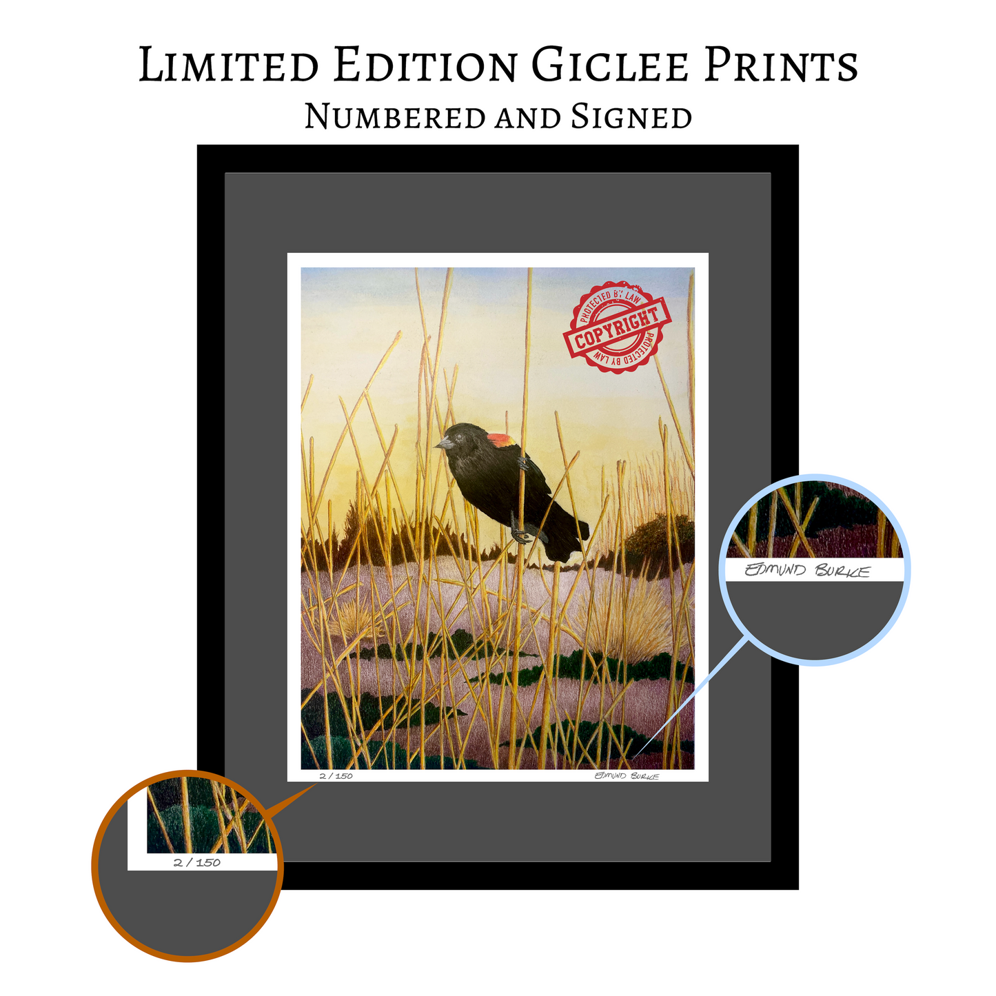 Red Winged Black Bird Original Artwork, East Coast Landscape Print, Limited Edition Watercolor,Coastal Wall Decor, Beach House Decor Gift