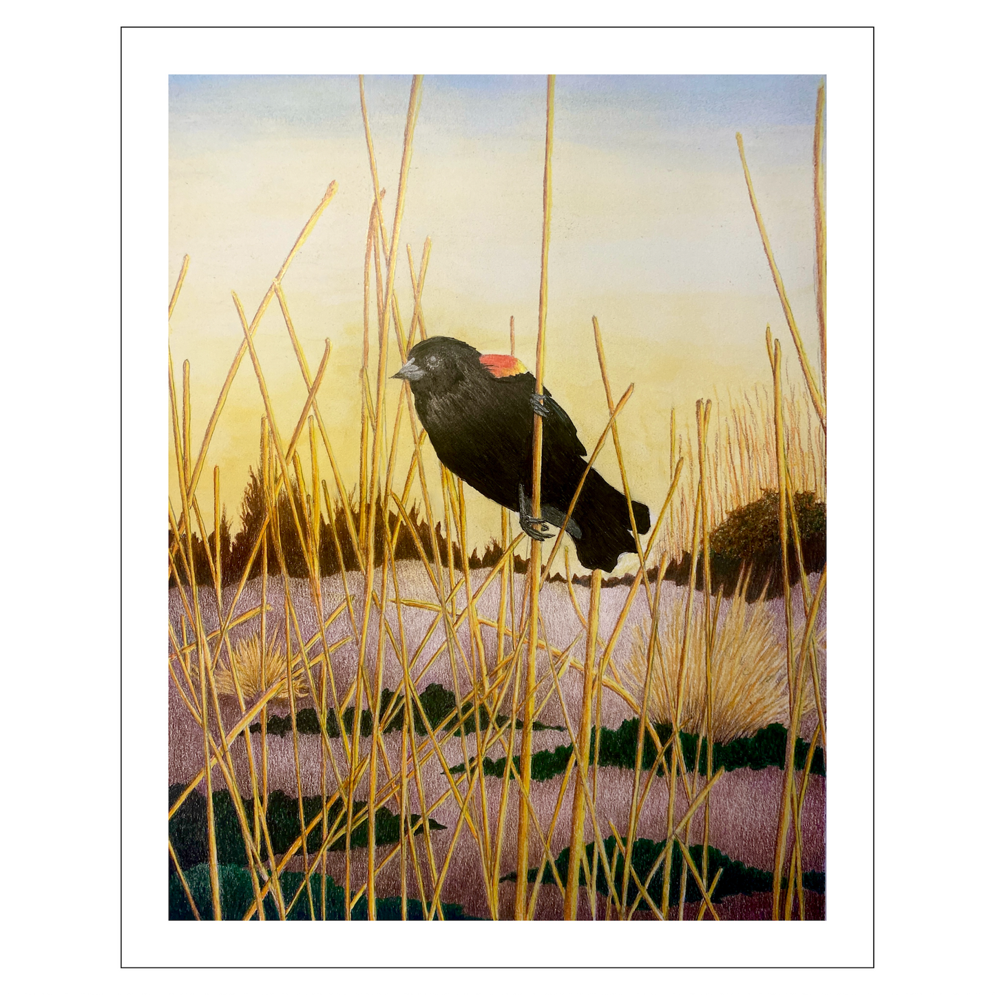 Red Winged Black Bird Original Artwork, East Coast Landscape Print, Limited Edition Watercolor,Coastal Wall Decor, Beach House Decor Gift