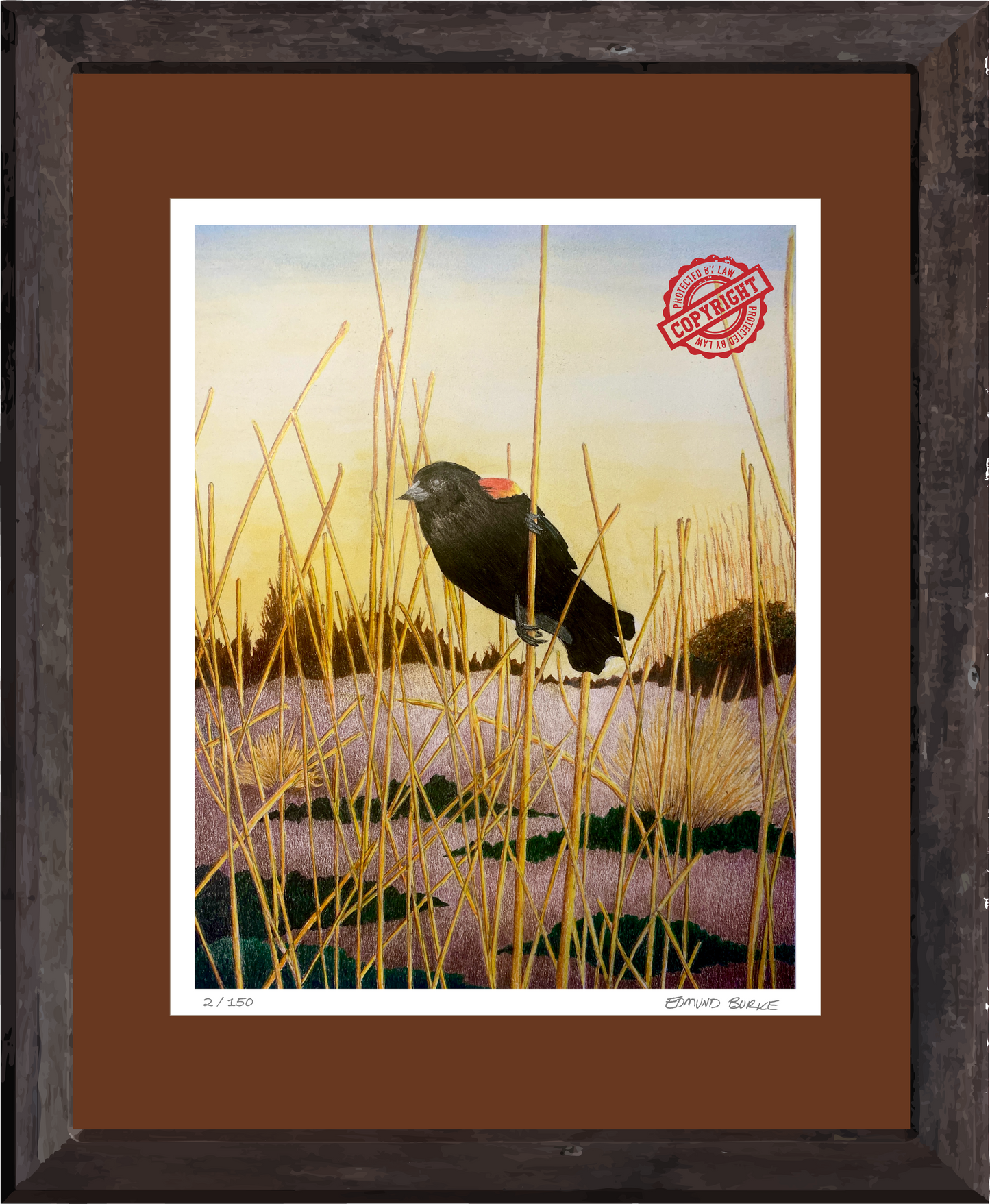 Red Winged Black Bird Original Artwork, East Coast Landscape Print, Limited Edition Watercolor,Coastal Wall Decor, Beach House Decor Gift