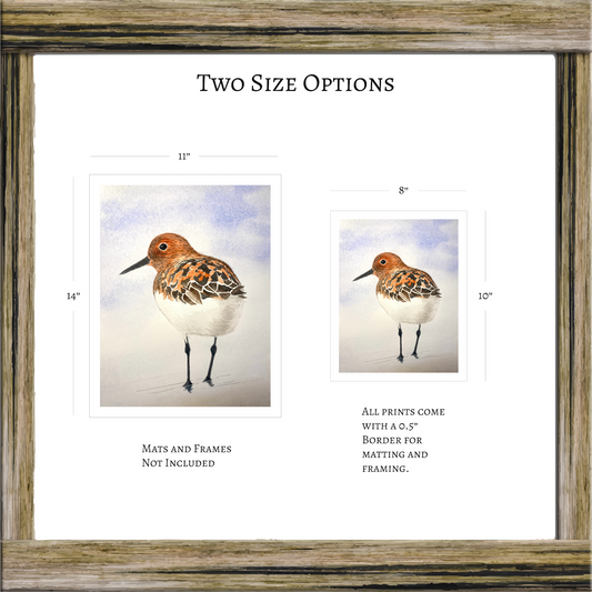 Sanderling Shorebird Original Artwork, East Coast Landscape Print, Limited Edition Watercolor,Coastal Wall Decor, Beach House Decor Gift