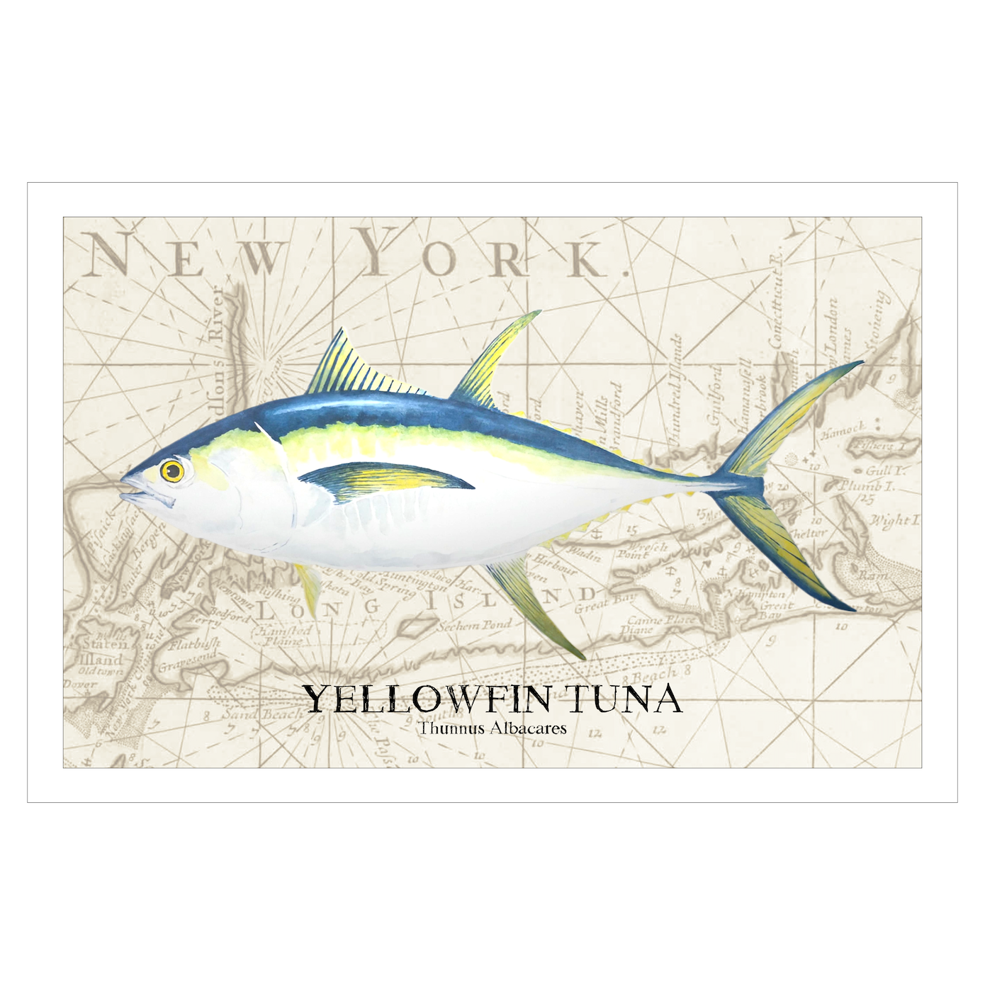 Yellowfin Tuna Watercolor Print Over Vintage Long Island Map – Nautical Coastal Wall Art, Fishermen Angler Gift, NY Beach House Décor