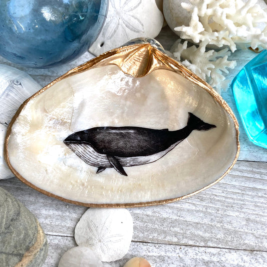 Decoupage Whale Art Clam Shell Trinket Dish