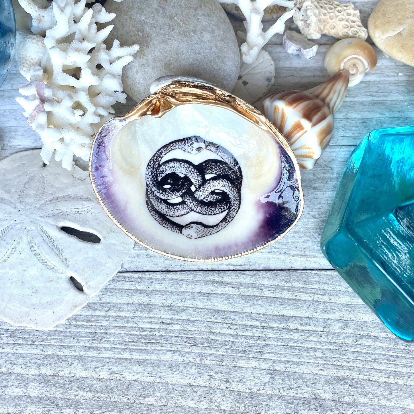 Decoupage Clam Shell Ring Dish – Ouroboros  Art, Mystical Coastal Decor
