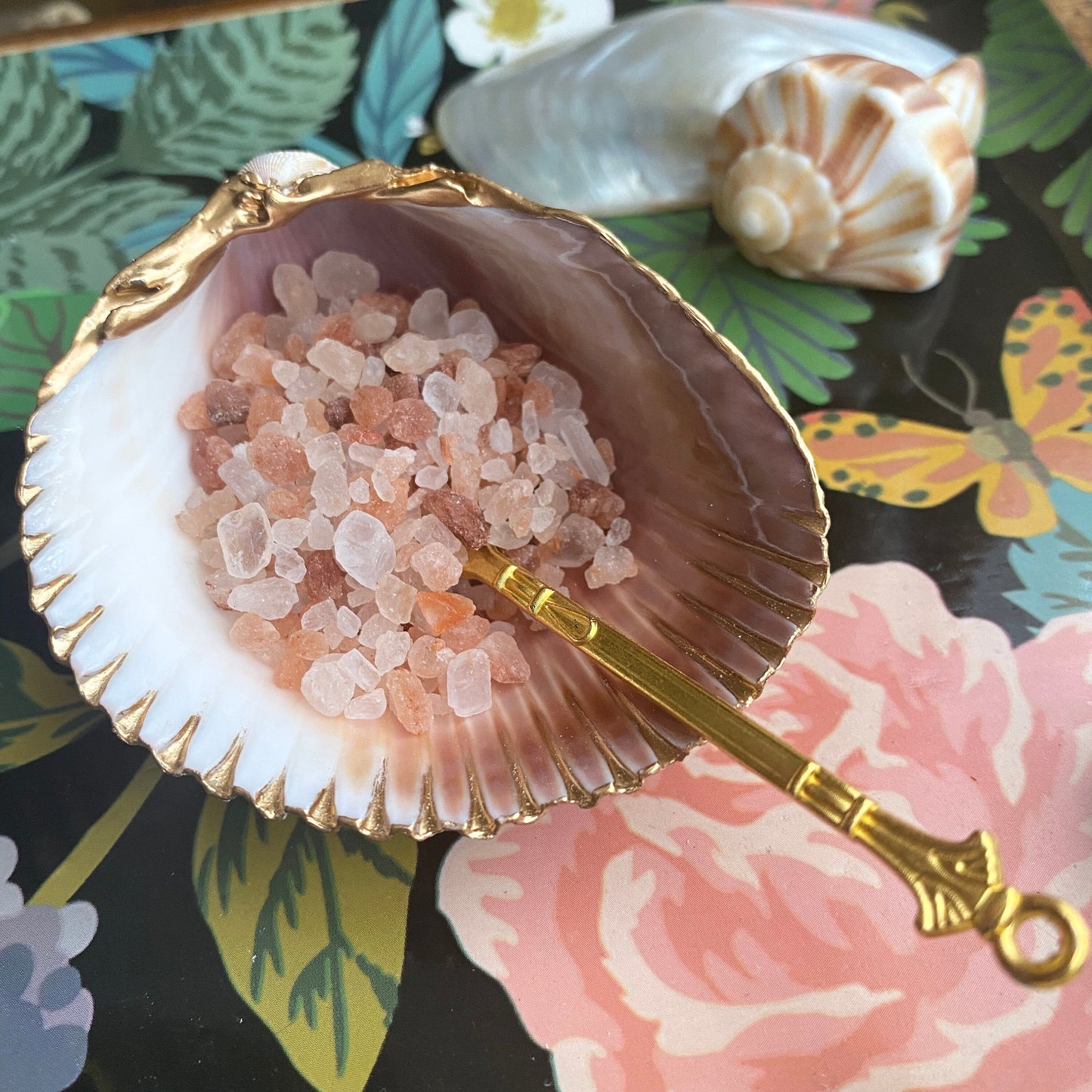 Handcrafted Clam Shell Salt and Pepper Dishes – Beach House Table Decor