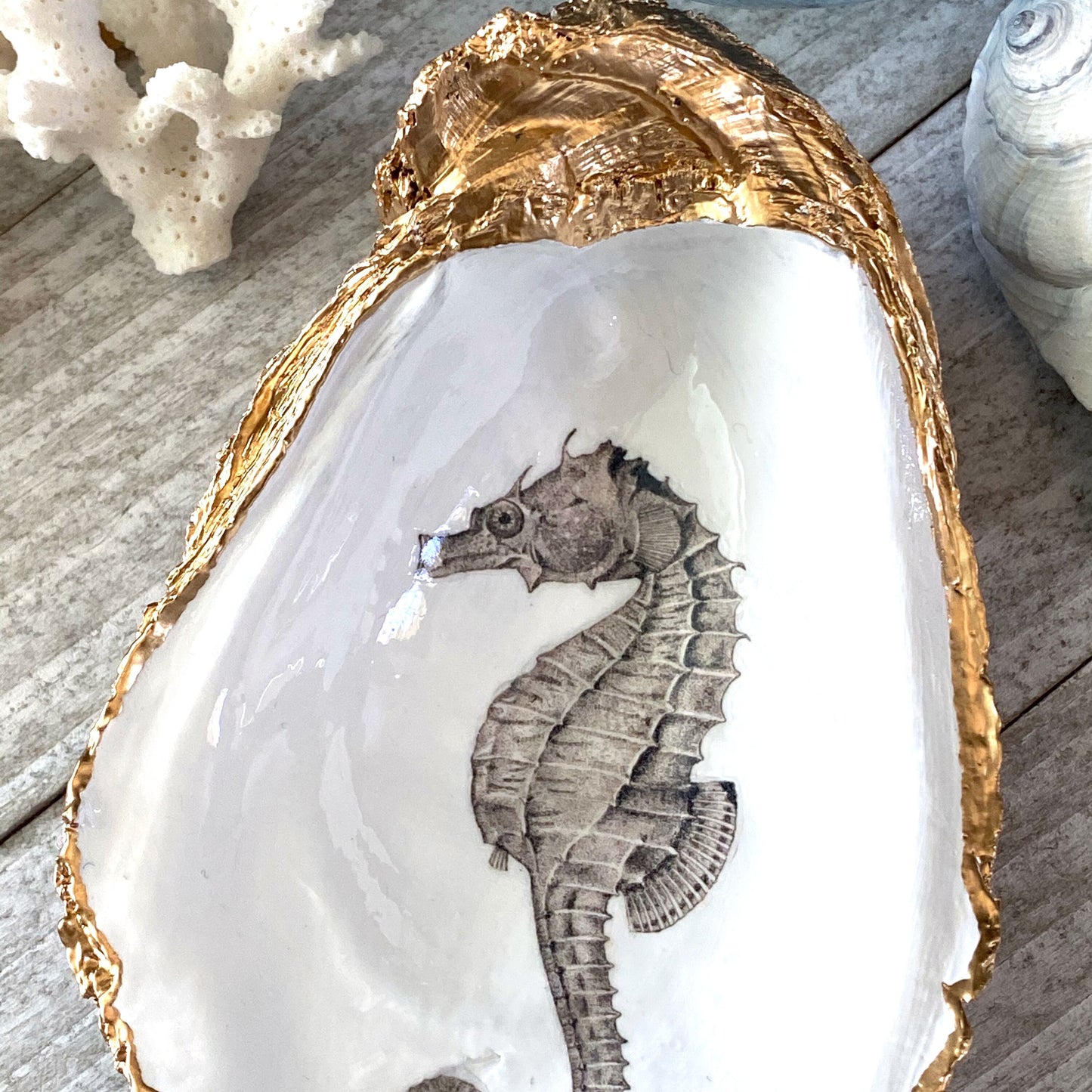 Decoupage Oyster Shell Seahorse Art