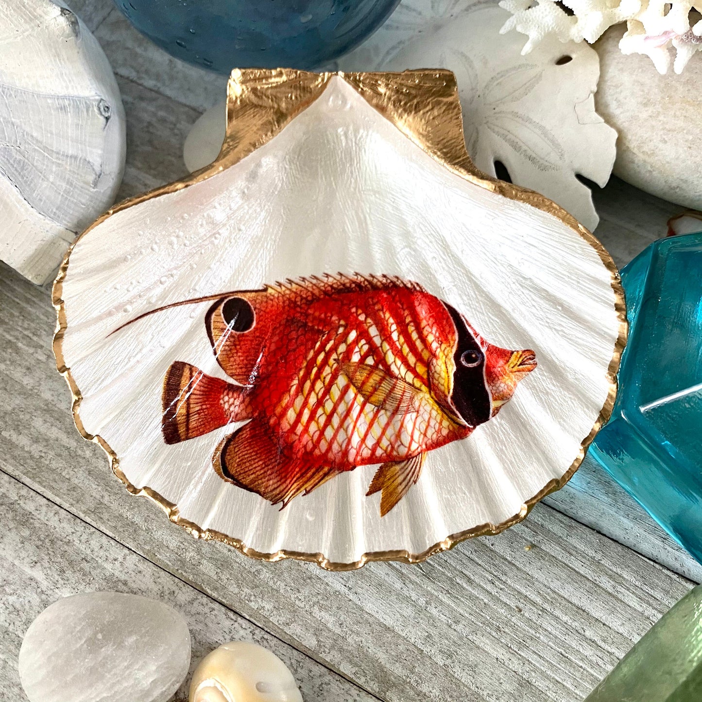 Decoupage Scallop Shell Trinket Dish Tropical Fish Art