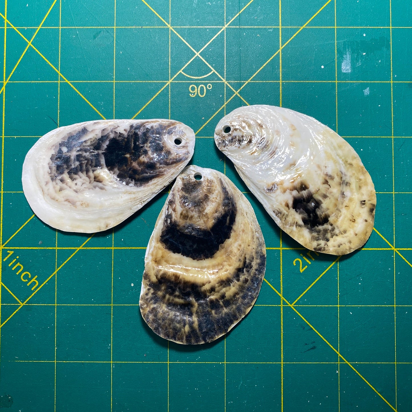 Holiday Angels Decoupage Oyster Shell Ornaments