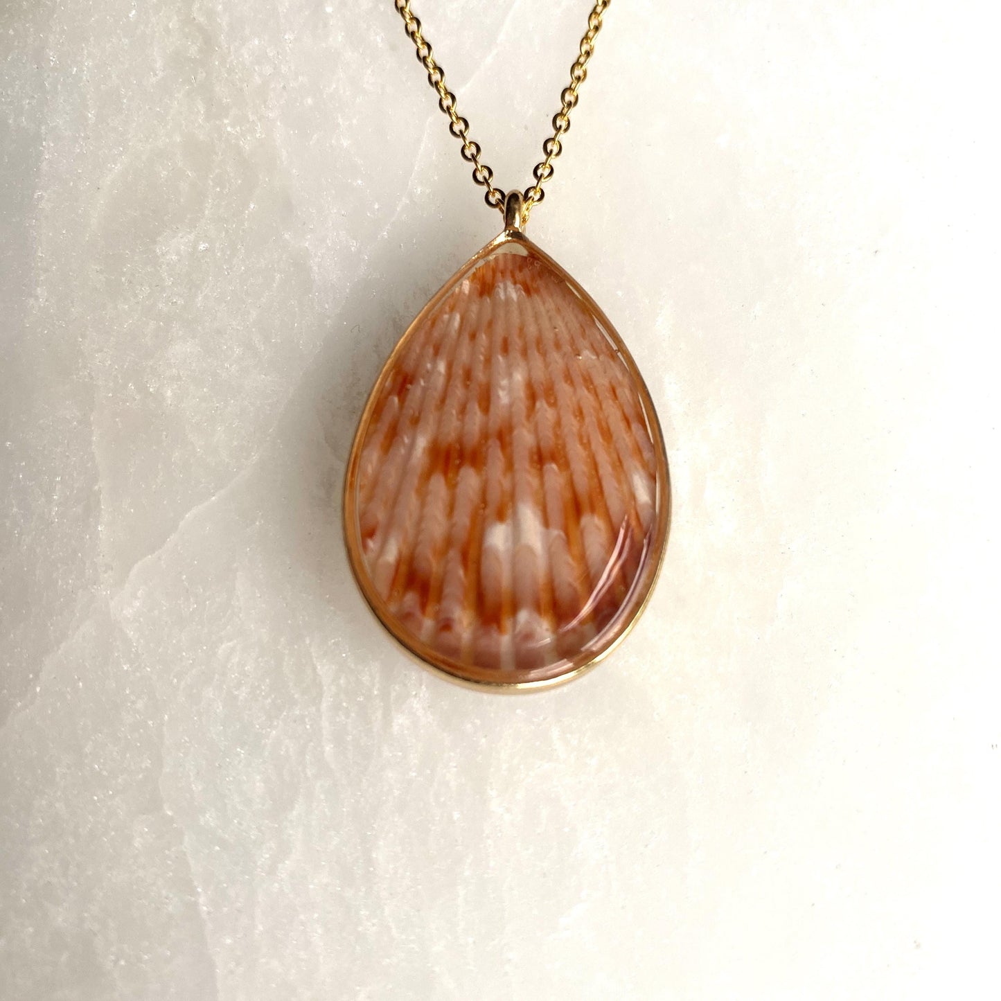 Hand Made Real Seashell Calico Scallop Shell Pendant Necklace