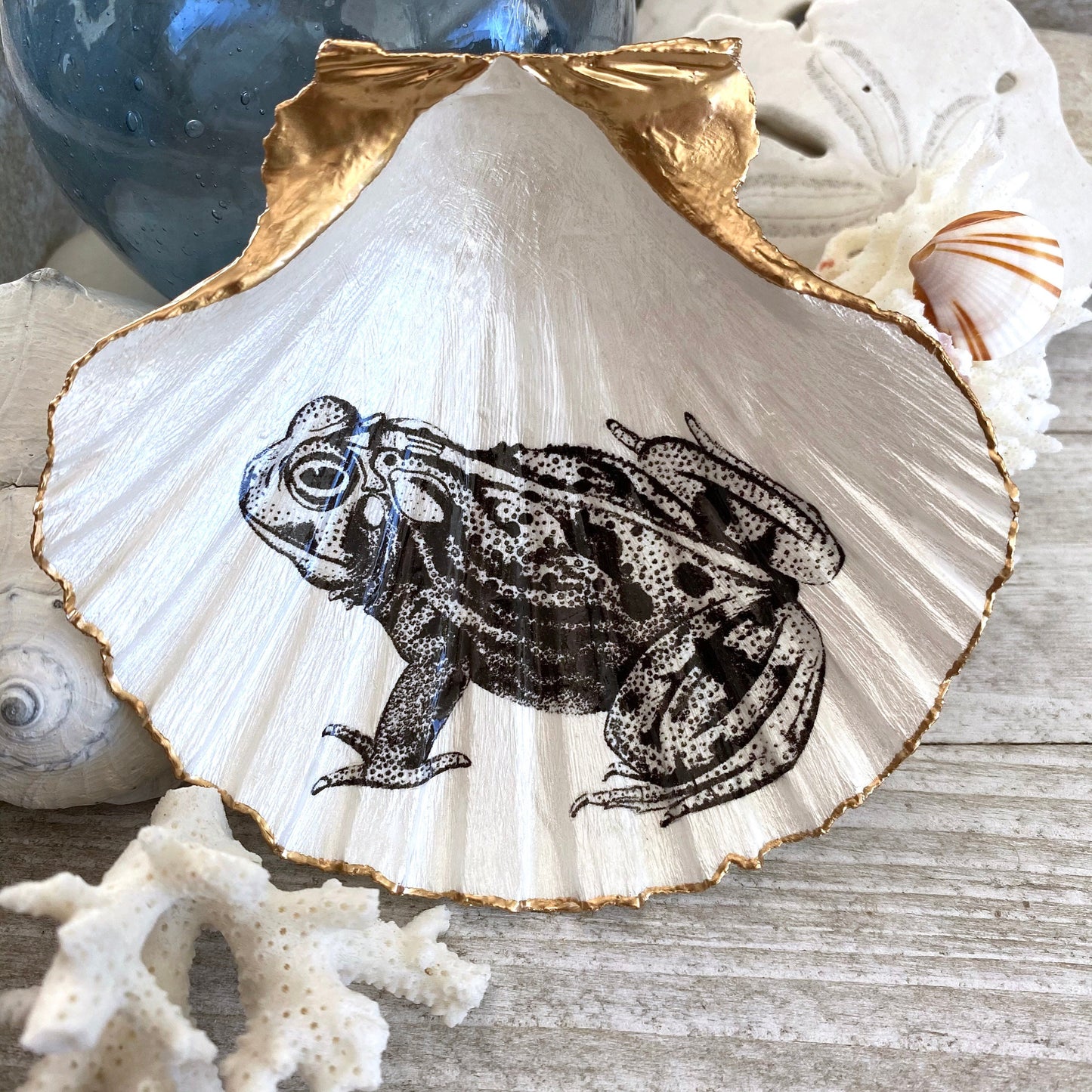 Decoupage Scallop Shell Trinket Dish Vintage Frog Art