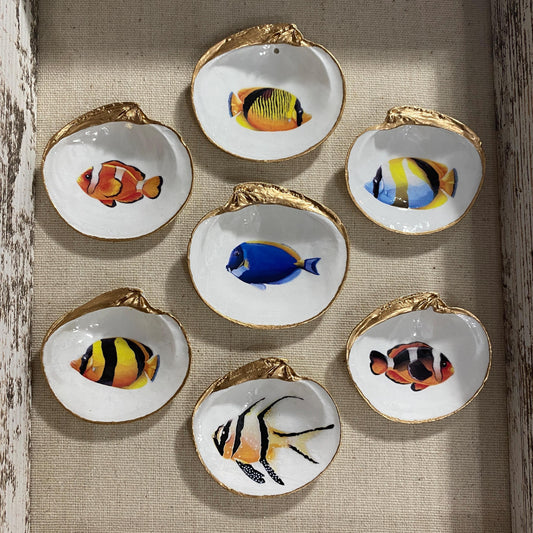 Coastal Wall Art Framed Decoupage Clam Shell  – Tropical Fish Art Shadowbox, Beach House Decor