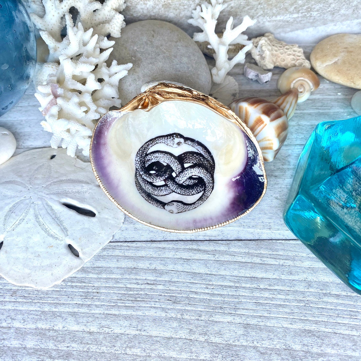 Decoupage Clam Shell Ring Dish – Ouroboros  Art, Mystical Coastal Decor