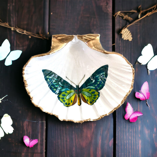 Decoupage Scallop Shell Trinket Dish Butterfly Art