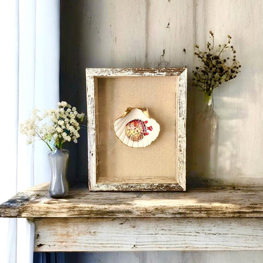 Coastal Wall Art Framed Decoupage Scallop Shell  – Beach House Decor