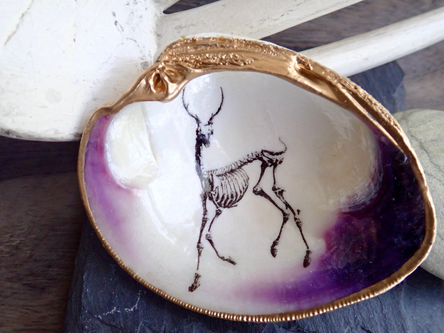 Decoupage Clam Shell Ring Dish – Gothic Skeleton, Esoteric Art Gift