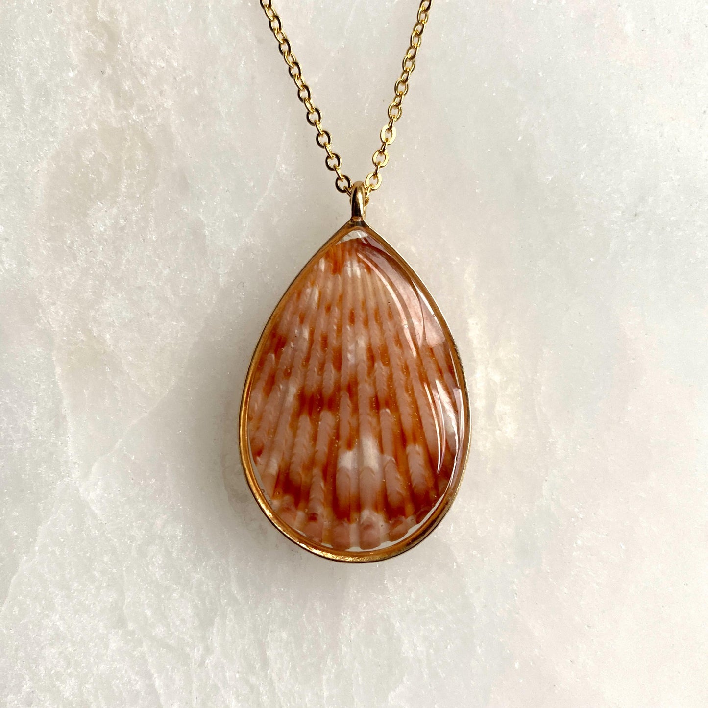 Hand Made Real Seashell Calico Scallop Shell Pendant Necklace