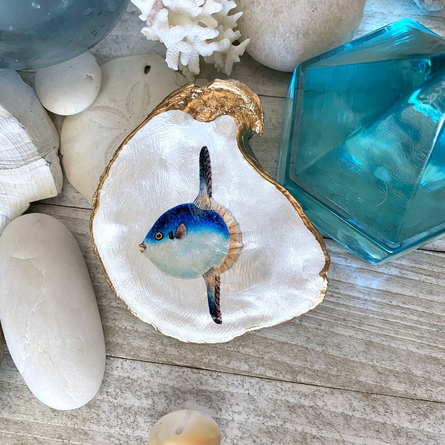 Decoupage Oyster Shell Sunfish Art