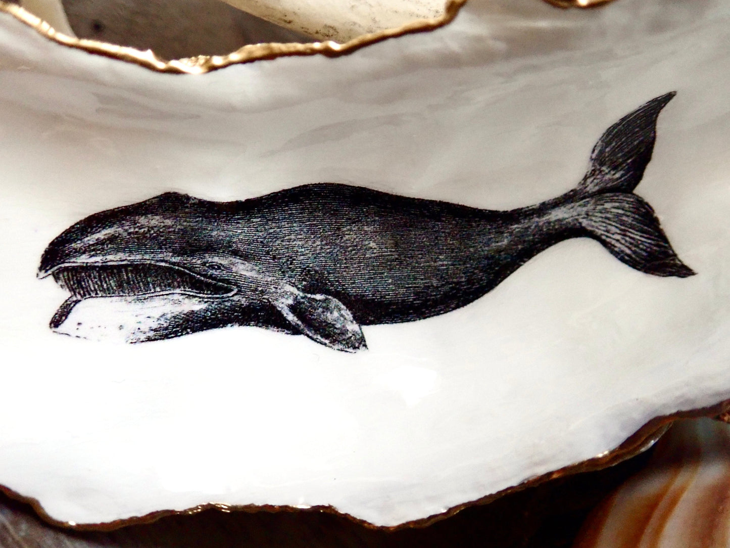 Whale Art Decoupage Oyster Shell Trinket Dish
