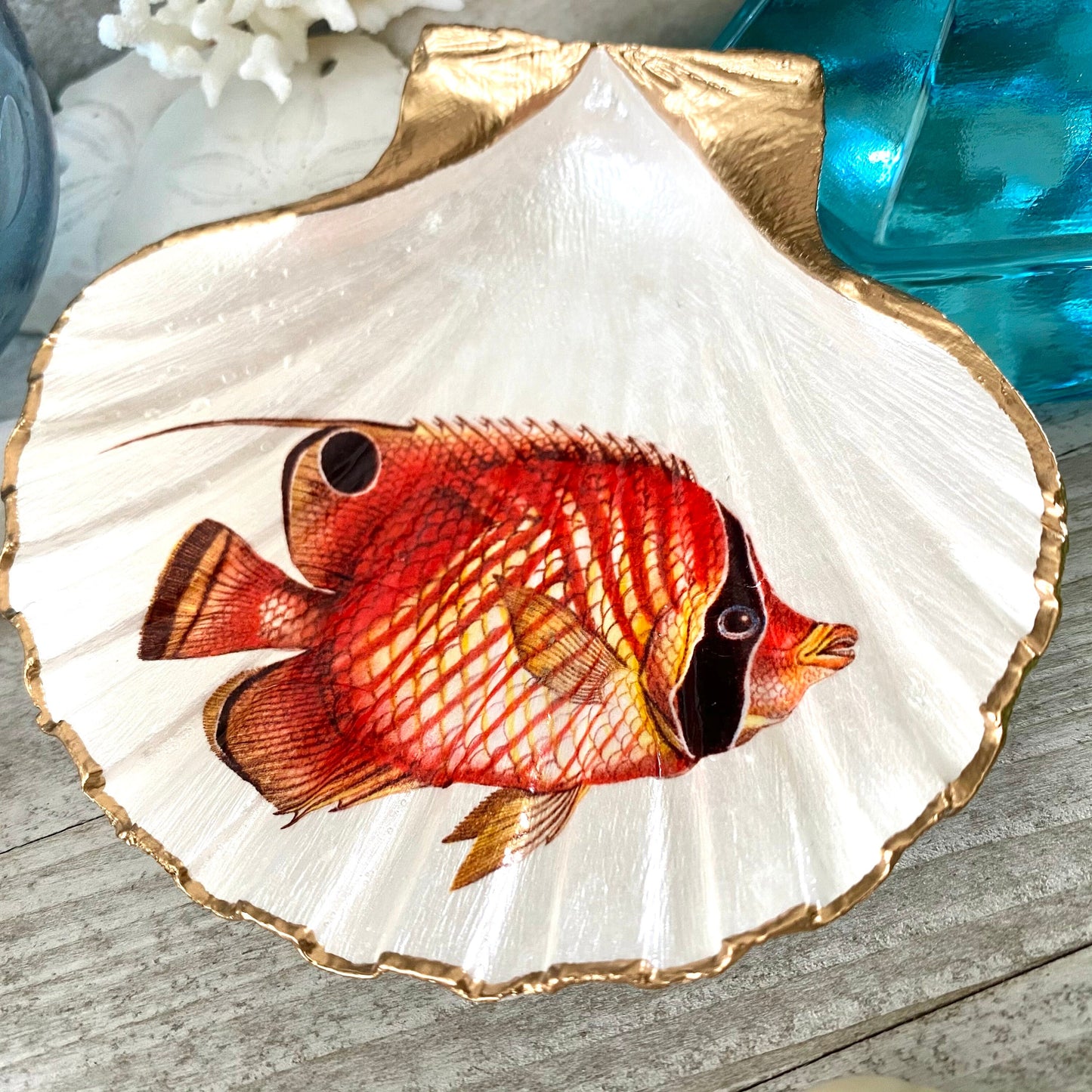 Decoupage Scallop Shell Trinket Dish Tropical Fish Art
