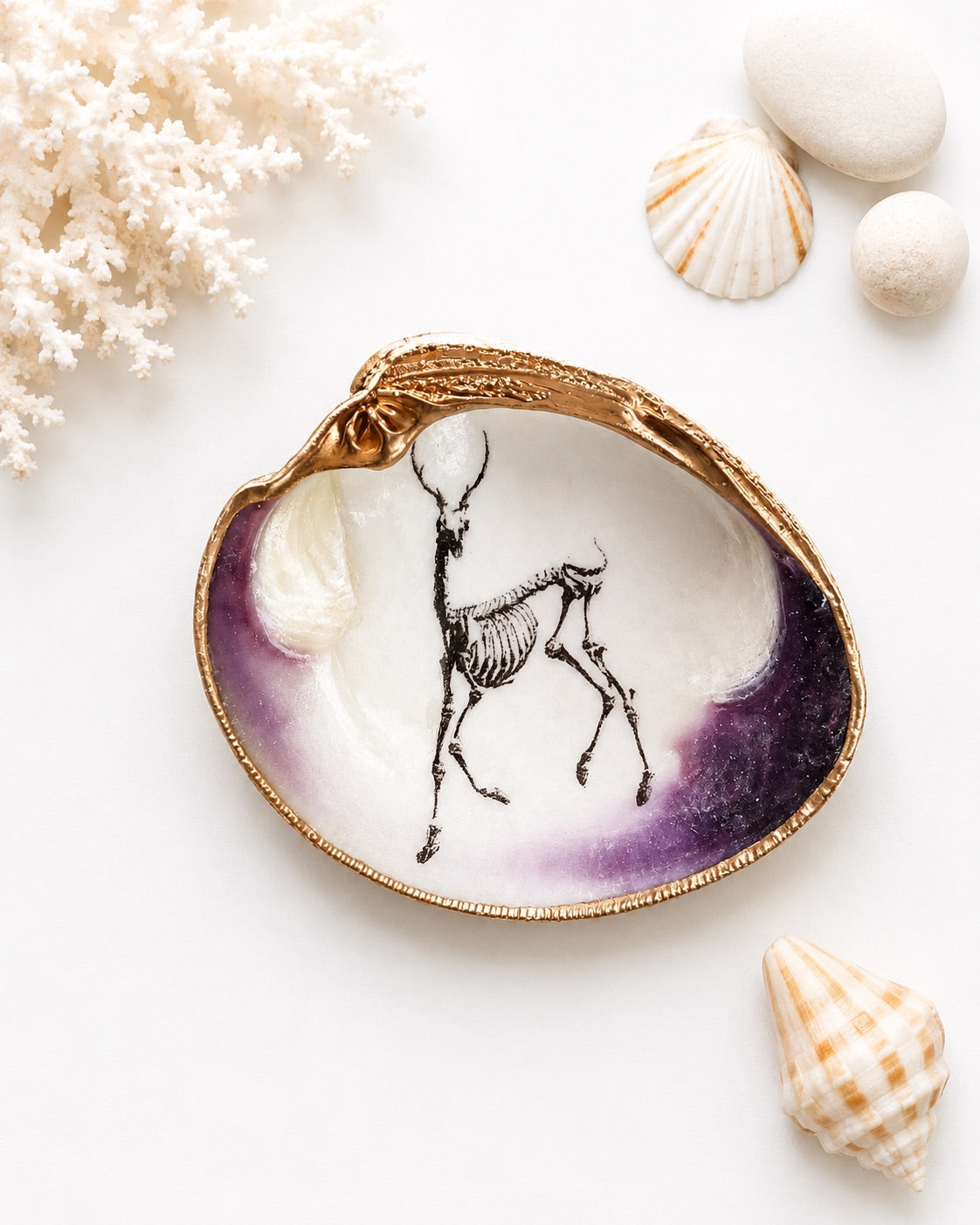 Decoupage Clam Shell Ring Dish – Gothic Skeleton, Esoteric Art Gift