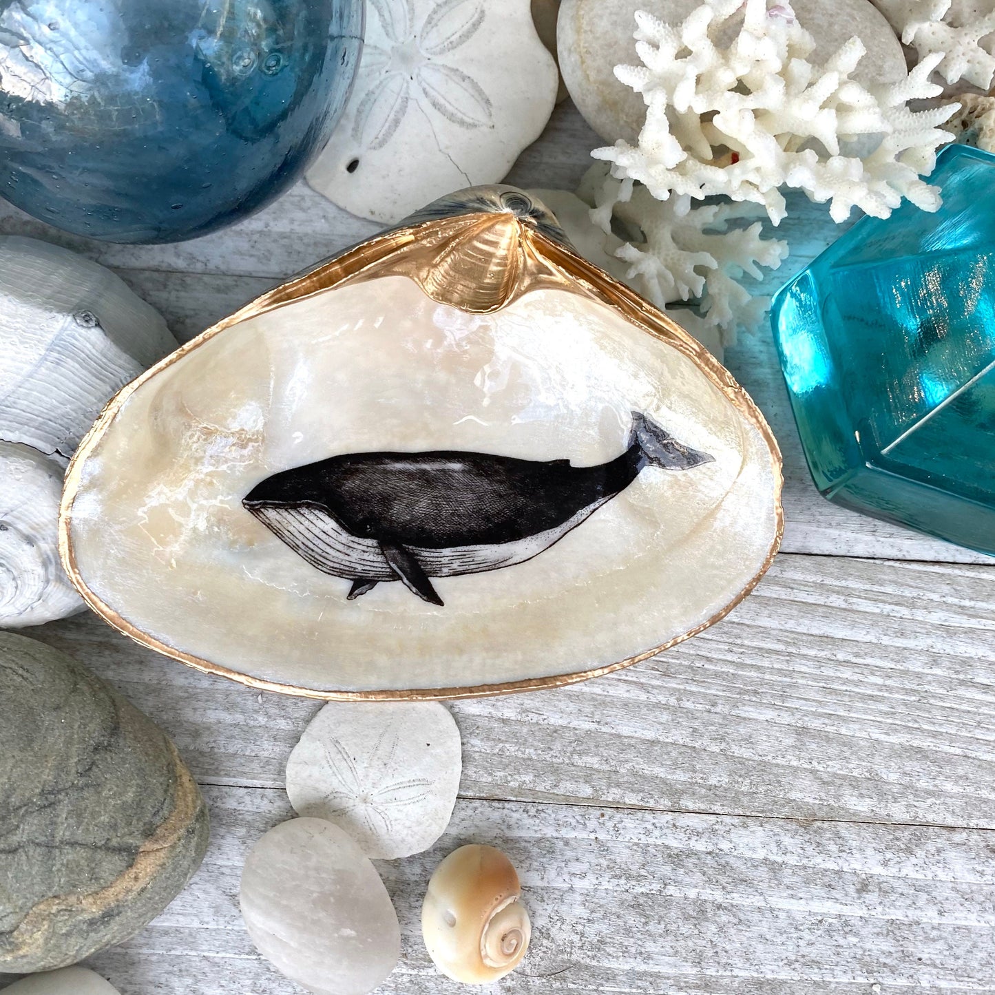 Decoupage Whale Art Clam Shell Trinket Dish