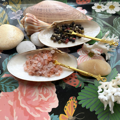 Handcrafted Clam Shell Salt and Pepper Dishes – Beach House Table Decor