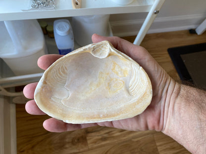 Decoupage Clam Shell Nautical Compass Art Trinket Dish