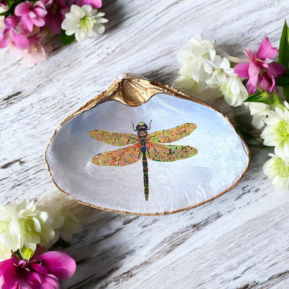 Decoupage Clam Shell Trinket Dish Dragonfly Art