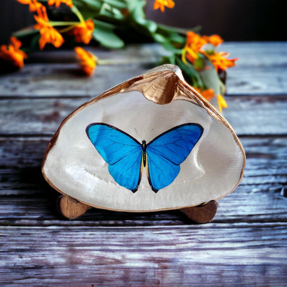 Blue Morpho Butterfly Decoupage Clam Shell Trinket Dish
