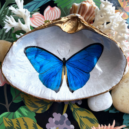 Blue Morpho Butterfly Decoupage Clam Shell Trinket Dish
