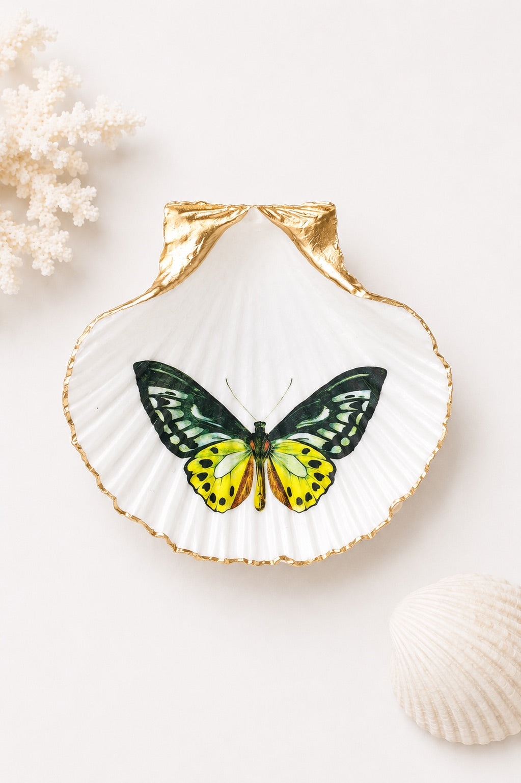 Decoupage Scallop Shell Trinket Dish Butterfly Art