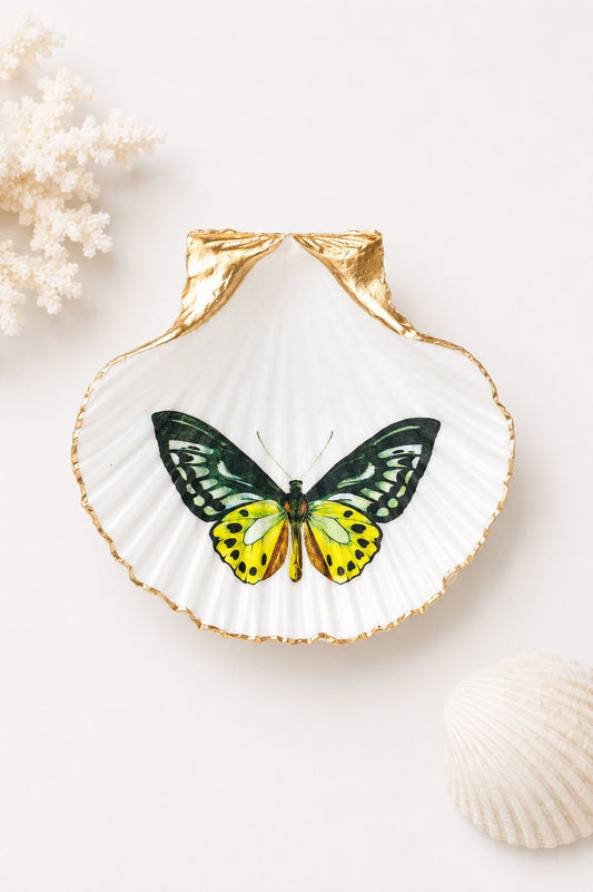 Decoupage Scallop Shell Trinket Dish Butterfly Art