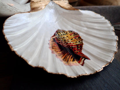 Decoupage Scallop Shell Trinket Dish Conch Shell Art