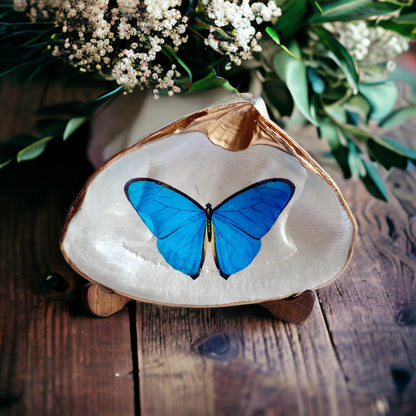 Blue Morpho Butterfly Decoupage Clam Shell Trinket Dish