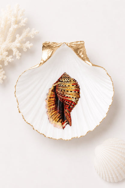 Decoupage Scallop Shell Trinket Dish Conch Shell Art