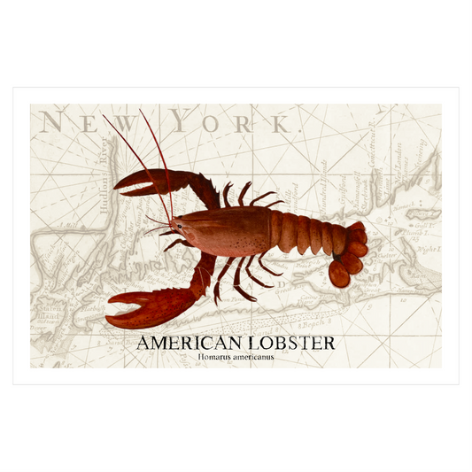 American Lobster Original Watercolor Print on Antique NY Map – Nautical Coastal Wall Art, Fishermen Gift, Beach House Art, Ocean Life Art
