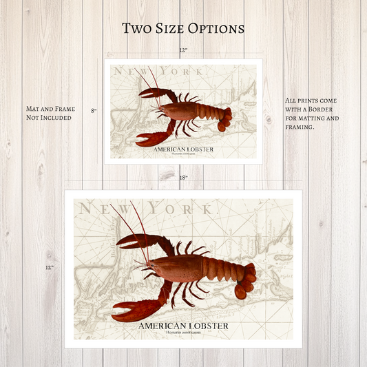 American Lobster Original Watercolor Print on Antique NY Map – Nautical Coastal Wall Art, Fishermen Gift, Beach House Art, Ocean Life Art