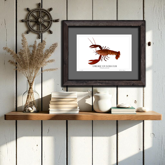 American Lobster Original Watercolor Print  – Nautical Coastal Wall Art, Fishermen Gift, Beach House Art, Ocean Life Art