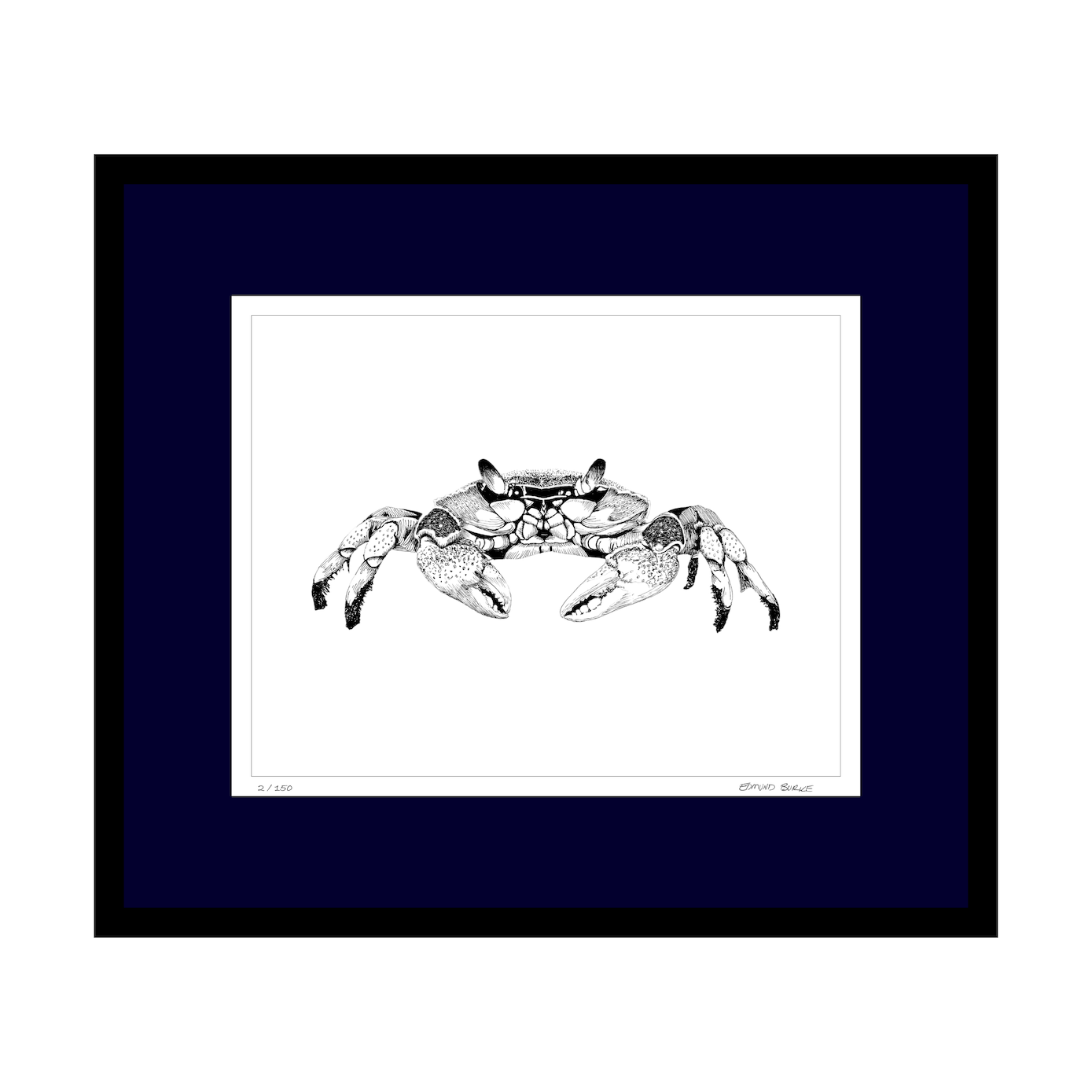 Maryland Blue Crab Art Print from Original Pen & Ink Drawing, Coastal Beach Art, Seaside Nautical Wall Hanging Decor