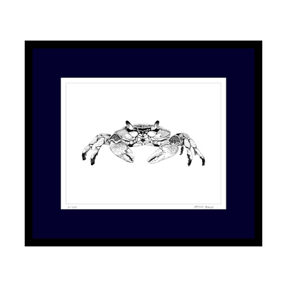 Maryland Blue Crab Art Print from Original Pen & Ink Drawing, Coastal Beach Art, Seaside Nautical Wall Hanging Decor
