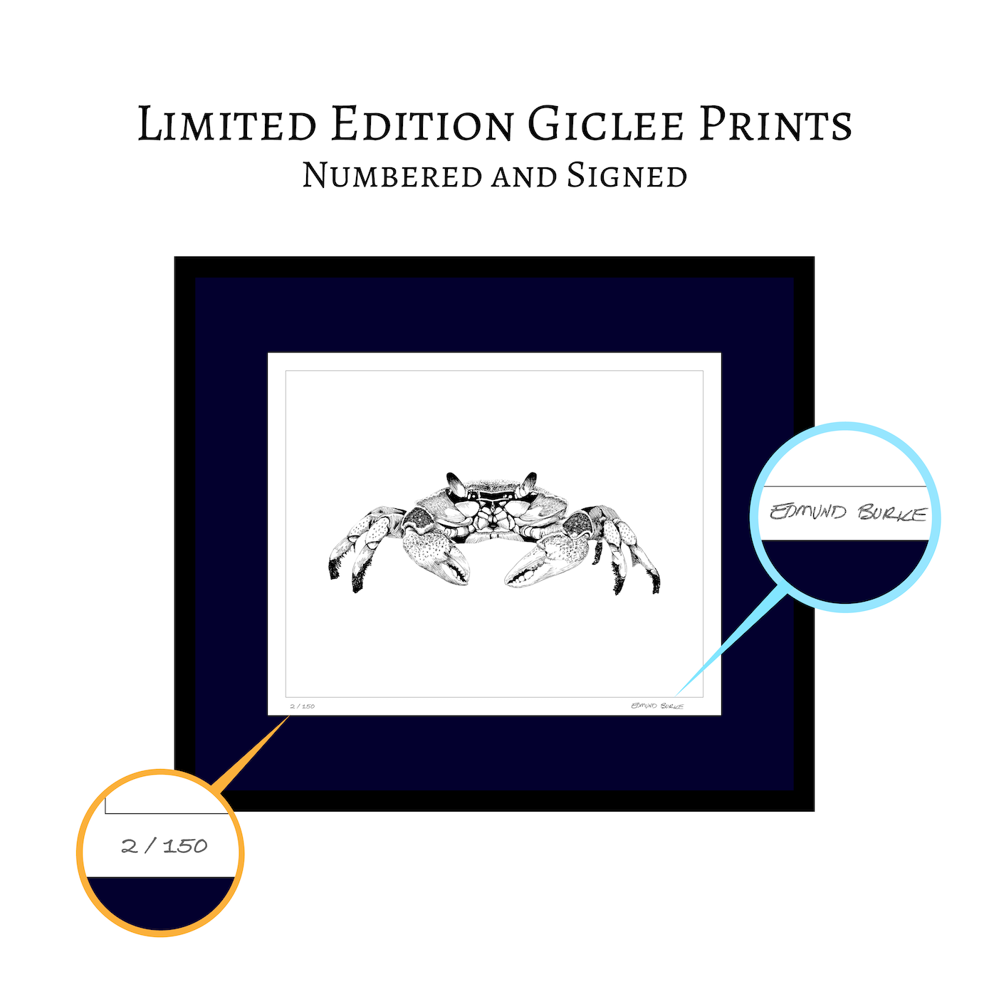 Maryland Blue Crab Art Print from Original Pen & Ink Drawing, Coastal Beach Art, Seaside Nautical Wall Hanging Decor