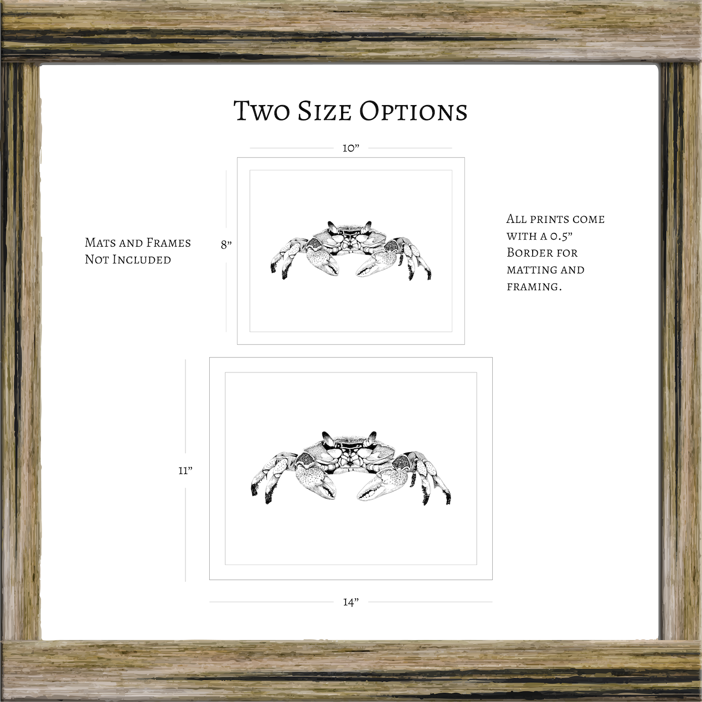 Maryland Blue Crab Art Print from Original Pen & Ink Drawing, Coastal Beach Art, Seaside Nautical Wall Hanging Decor