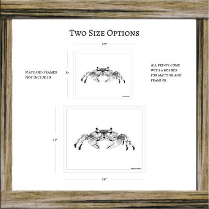 Maryland Blue Crab Art Print from Original Pen & Ink Drawing, Coastal Beach Art, Seaside Nautical Wall Hanging Decor