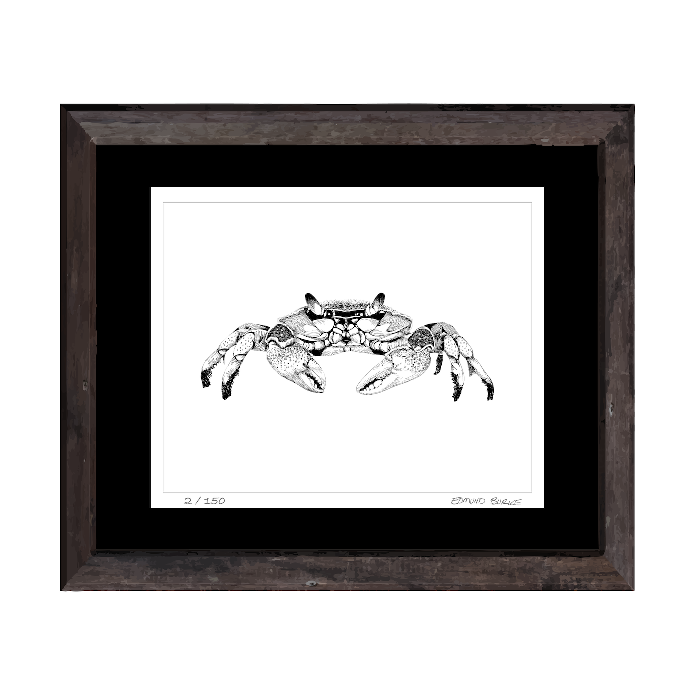 Maryland Blue Crab Art Print from Original Pen & Ink Drawing, Coastal Beach Art, Seaside Nautical Wall Hanging Decor