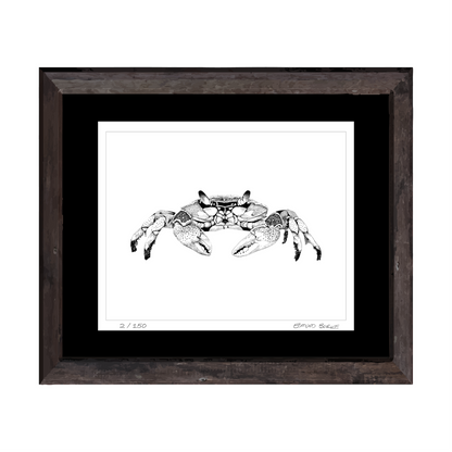 Maryland Blue Crab Art Print from Original Pen & Ink Drawing, Coastal Beach Art, Seaside Nautical Wall Hanging Decor
