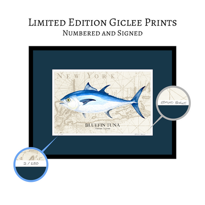Bluefin Tuna Watercolor Print Art Over Vintage Long Island Map – Nautical Coastal Wall Art, Fishermen Angler Gift, NY Beach House Décor